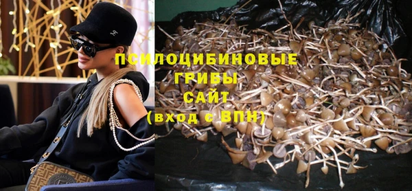 сатива Балахна