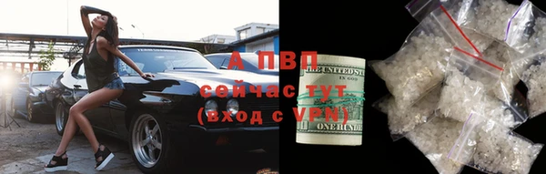 сатива Балахна