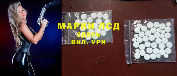сатива Балахна