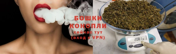 сатива Балахна