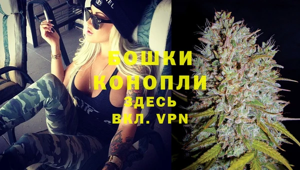 сатива Балахна